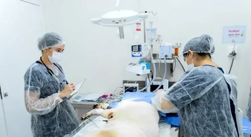 lemanipet-hospital-veterinario-fortaleza-cirurgia-eletiva