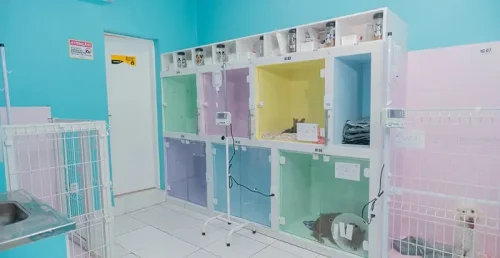 lemanipet-hospital-veterinario-fortaleza-internamento